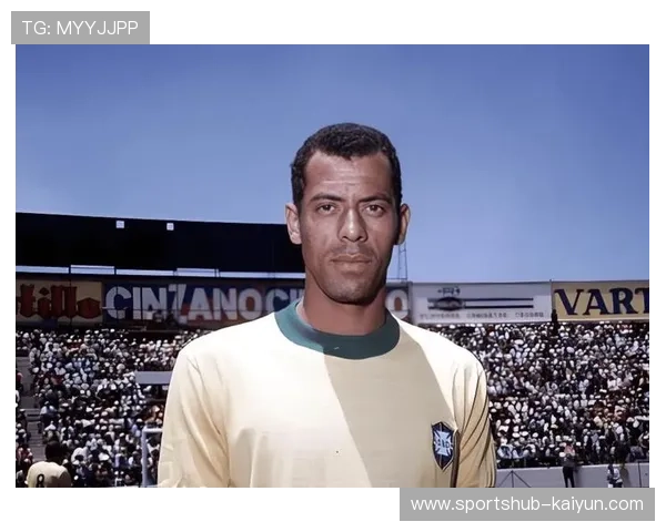 博士足球球星的成长历程与赛场传奇精神探索